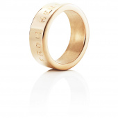 From Here To Eternity Stamped Ring goud