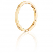Plain & Signature Thin Ring goud