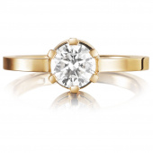 Crown Wedding 1.0 ct diamant Ring goud