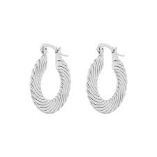 Dakota earrings Zilver