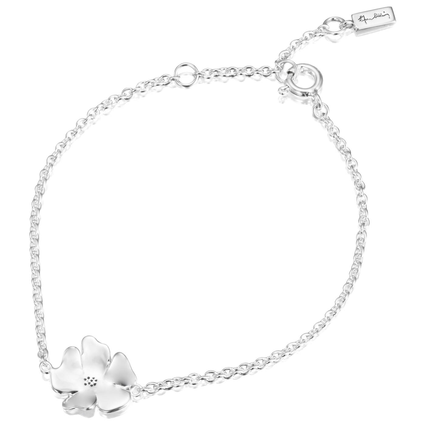 Violet Armbanden Zilver