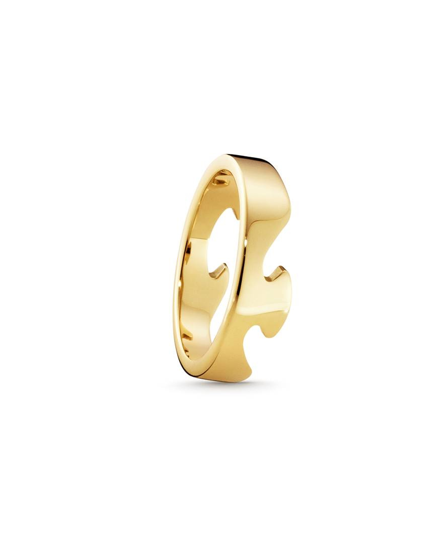 FUSION END Ring goud