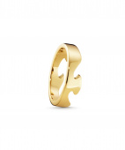 FUSION END Ring goud