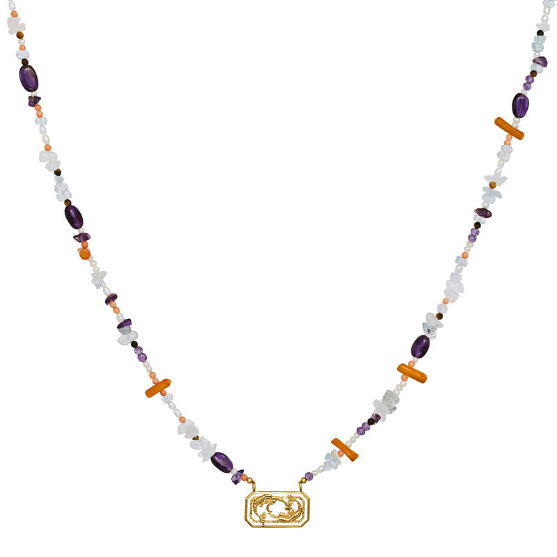 Zodiac Water Pisces Kettingen (Goud)