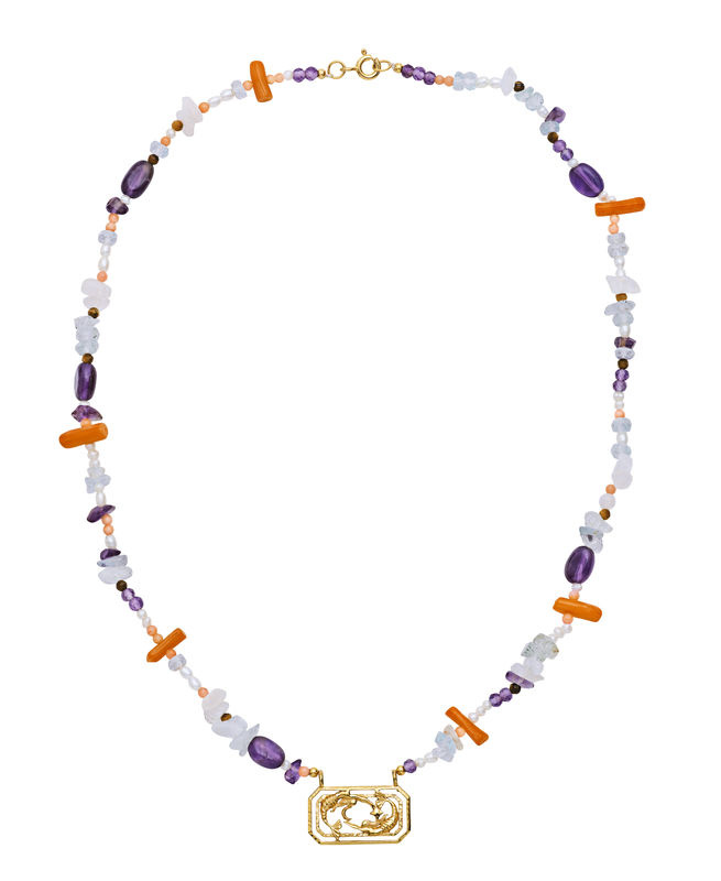 Zodiac Water Pisces Kettingen (Goud)