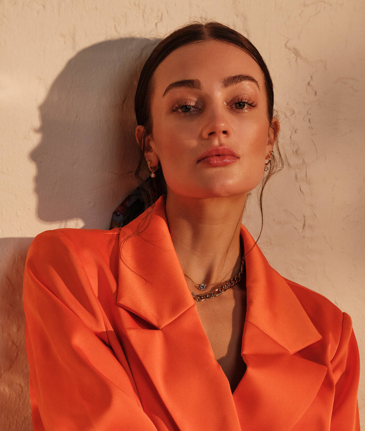 LILLY Hoops Oorbellen Staal