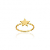 Star Ring (goud)