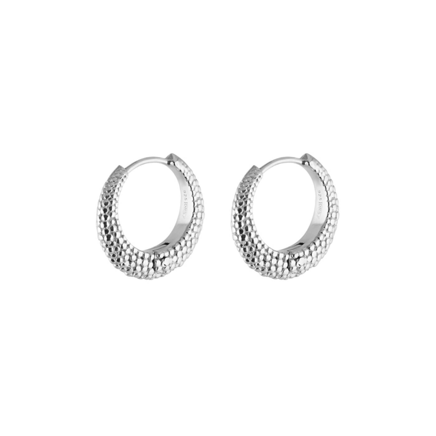 Stardust hoops Zilver